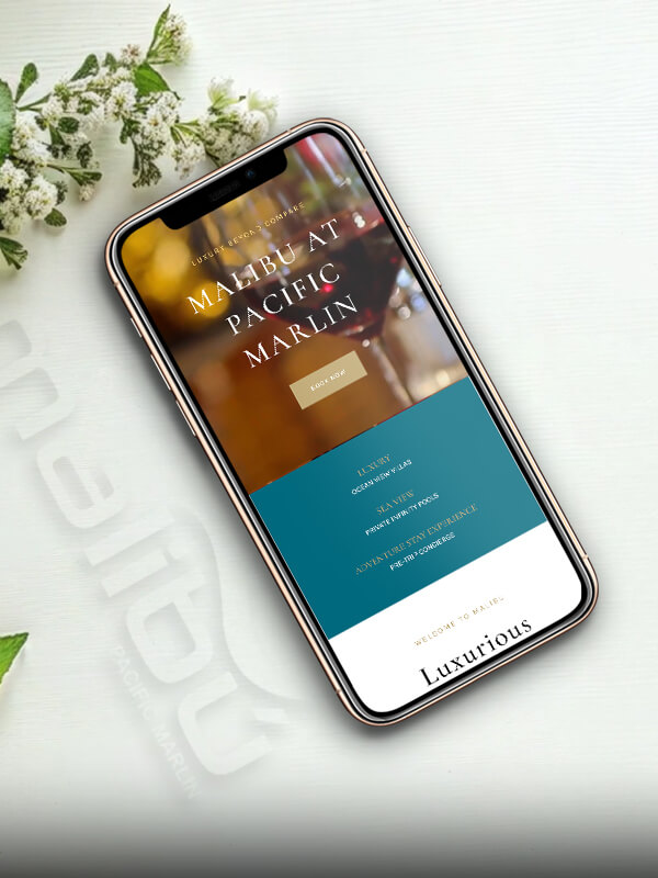 Optimalisatie snelheid en SEO